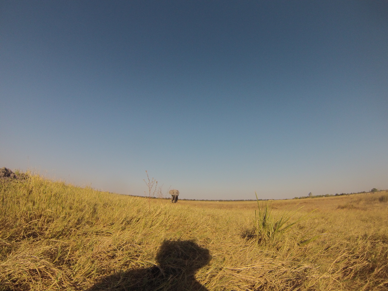 [25394] 2016_06_30_15_00_57_Africa_Hero3-Silver_Edition_IMG__01506.jpg