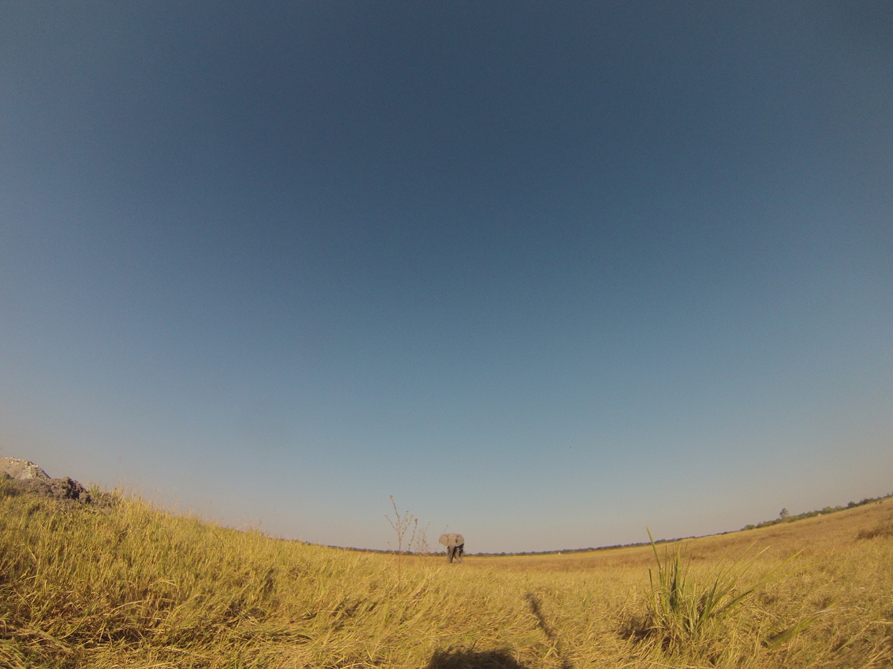 [25412] 2016_06_30_15_01_09_Africa_Hero3-Silver_Edition_IMG__01512.jpg