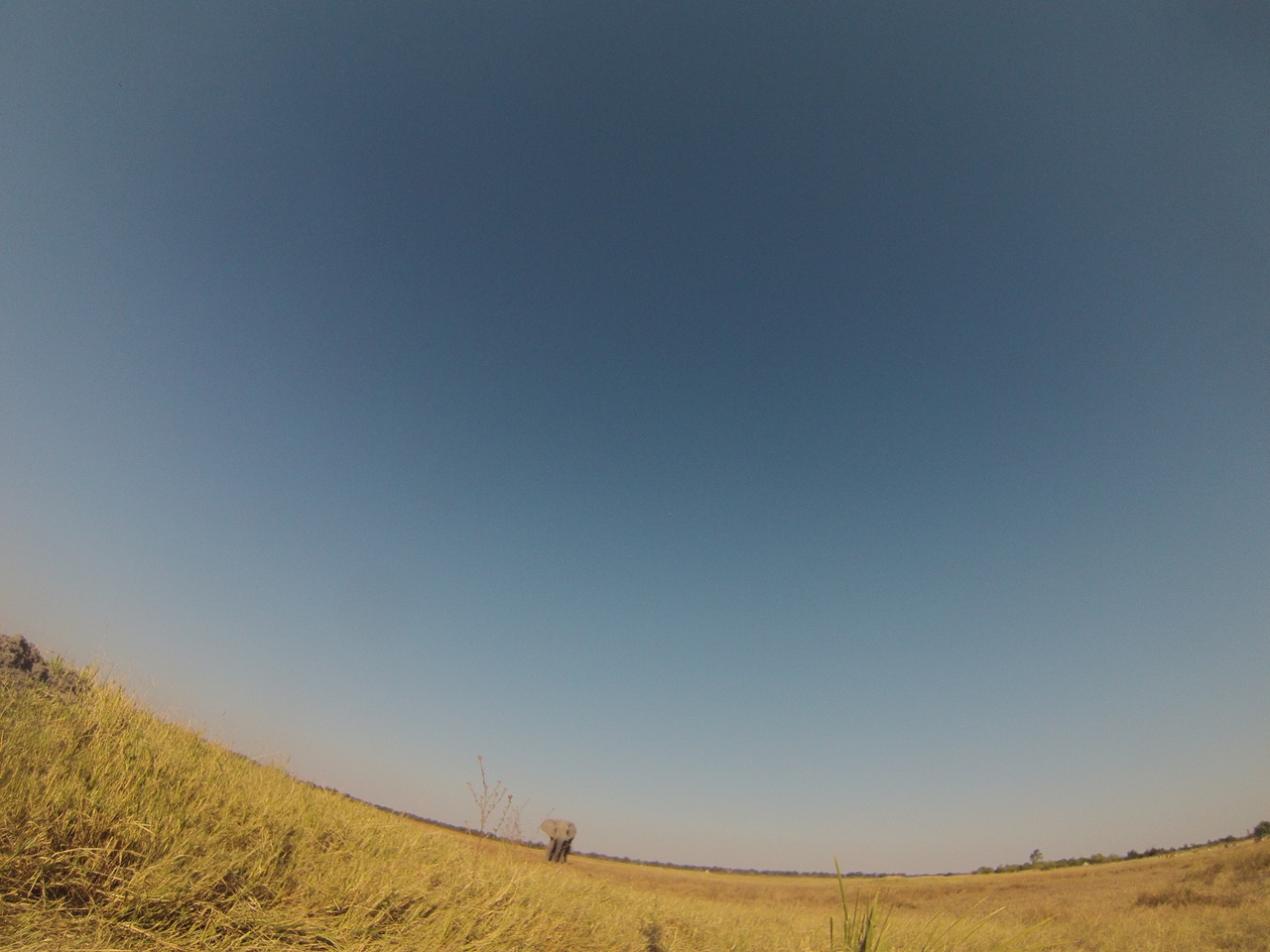 [25431] 2016_06_30_15_01_21_Africa_Hero3-Silver_Edition_IMG__01966.jpg