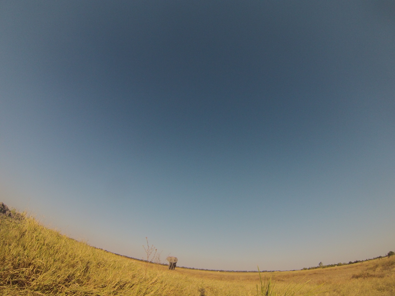 [25432] 2016_06_30_15_01_23_Africa_Hero3-Silver_Edition_IMG__00573.jpg