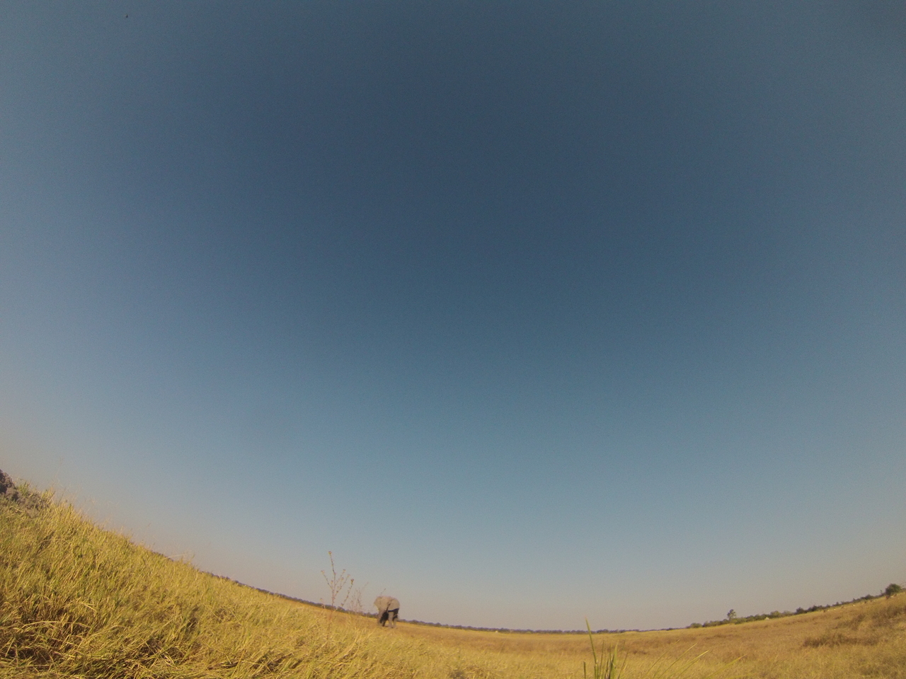 [25437] 2016_06_30_15_01_25_Africa_Hero3-Silver_Edition_IMG__01968.jpg