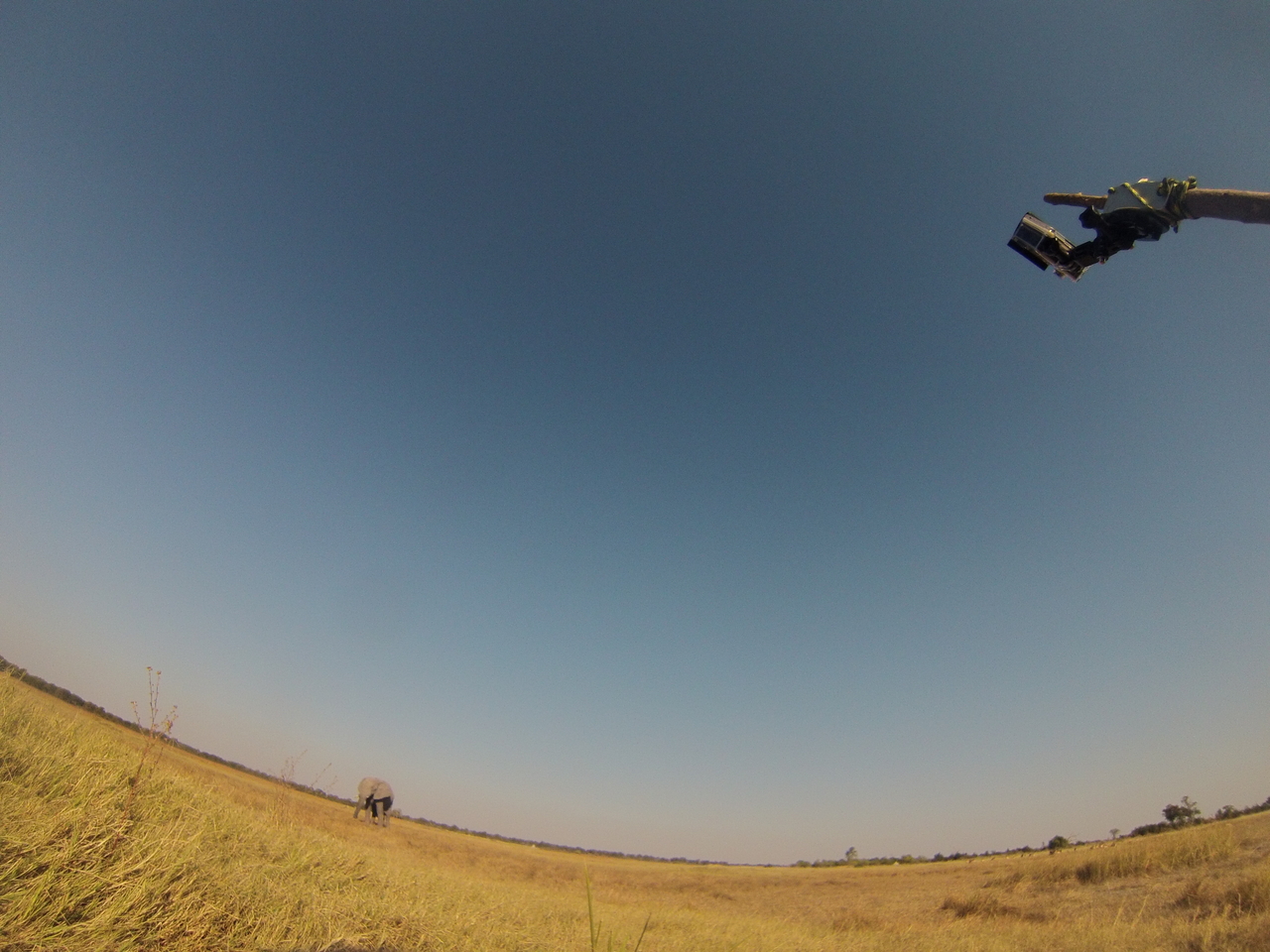 [25439] 2016_06_30_15_01_27_Africa_Hero3-Silver_Edition_IMG__01521.jpg