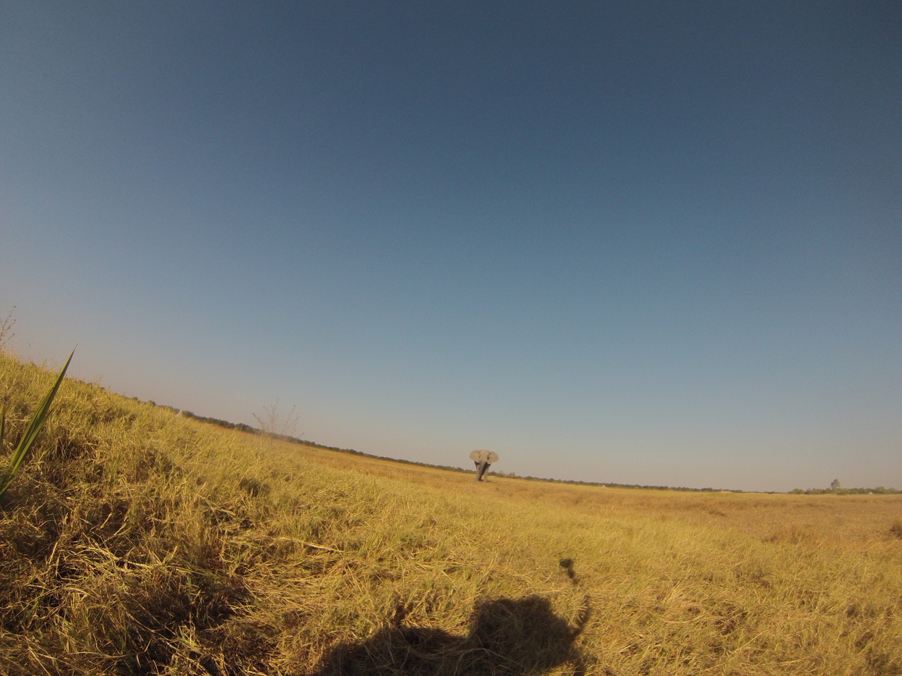 [25455] 2016_06_30_15_01_37_Africa_Hero3-Silver_Edition_IMG__01974.jpg