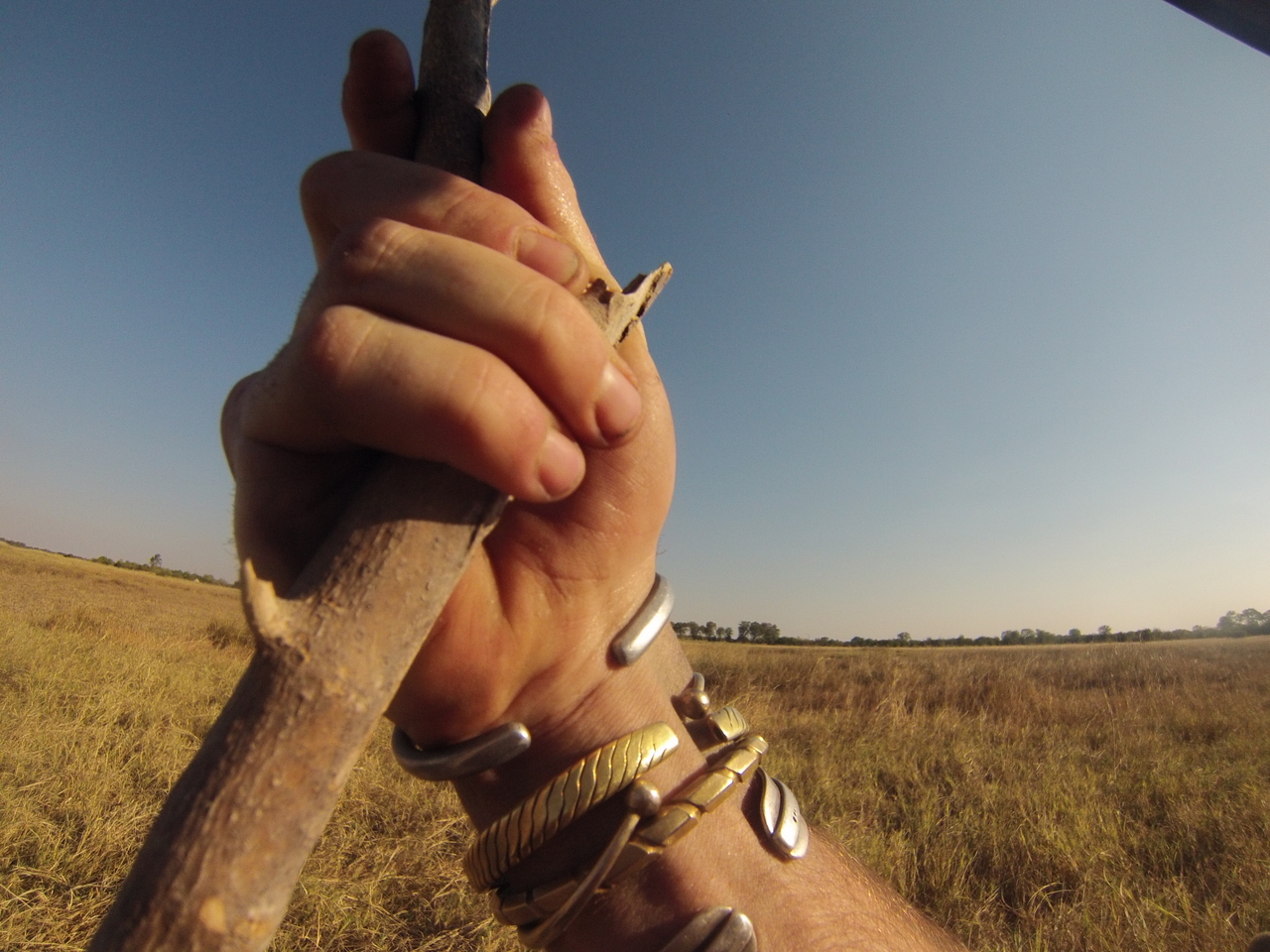 [25462] 2016_06_30_15_01_43_Africa_Hero3-Silver_Edition_IMG__00583.jpg