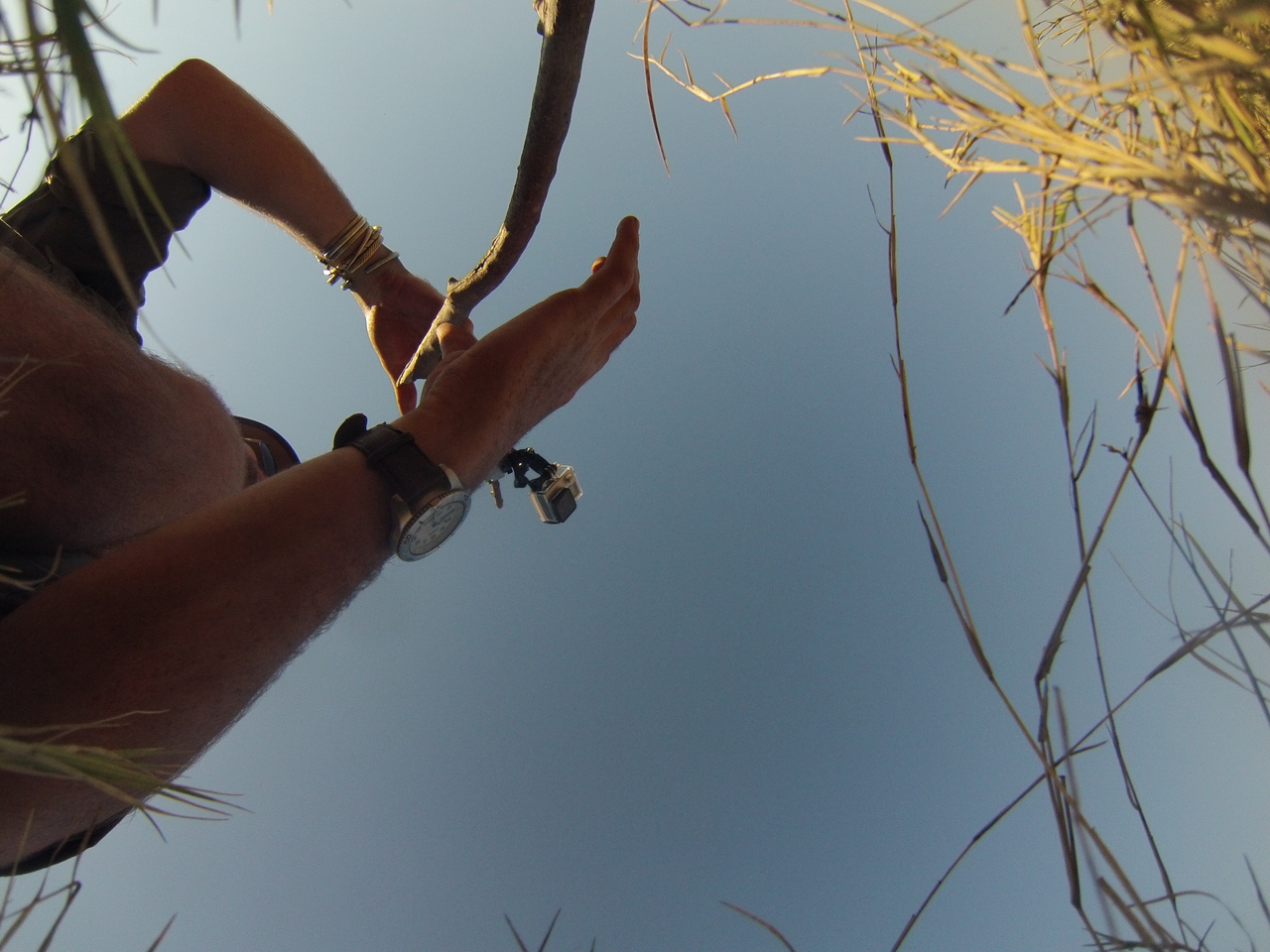 [25478] 2016_06_30_15_01_53_Africa_Hero3-Silver_Edition_IMG__01534.jpg