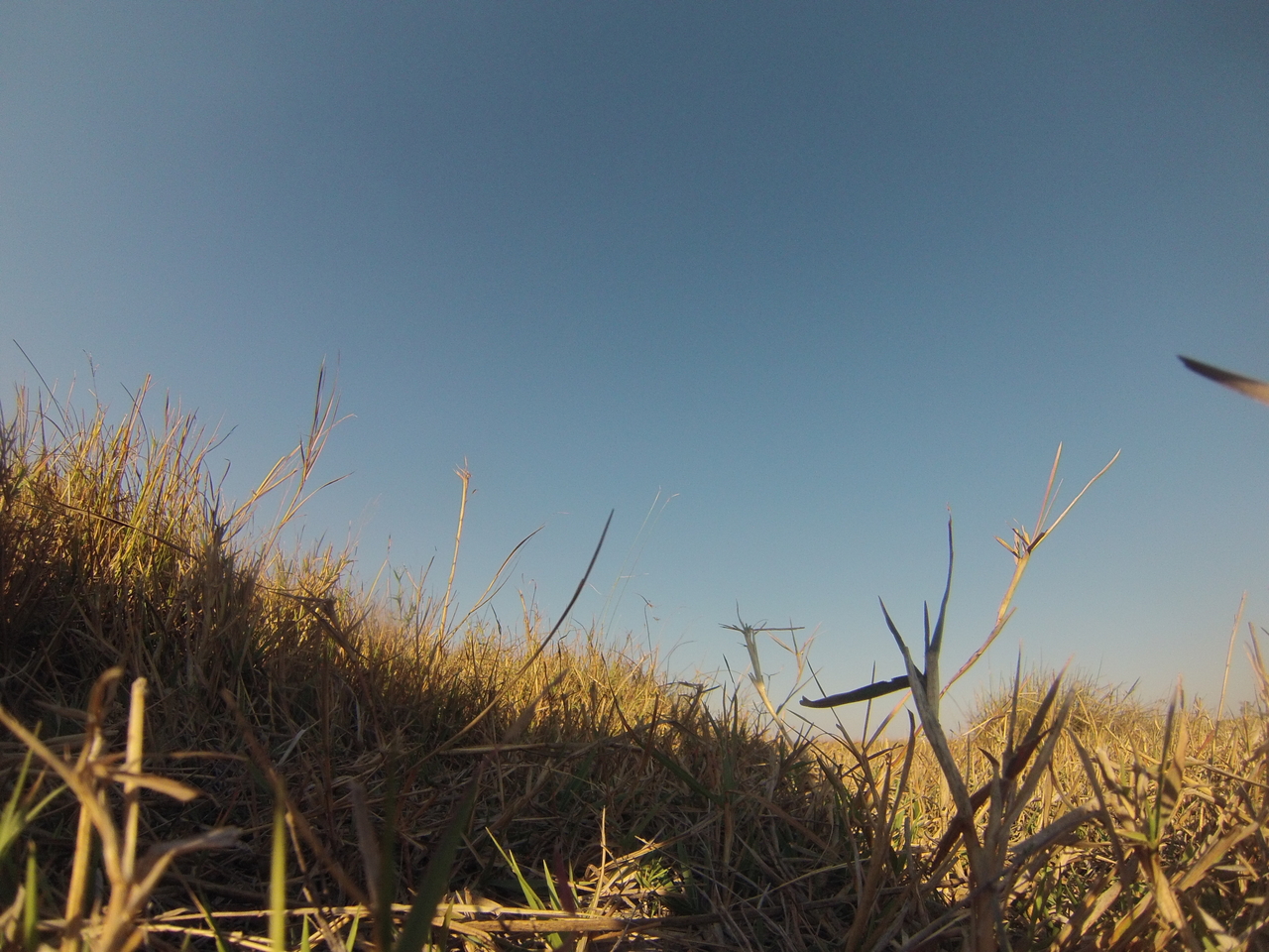 [25532] 2016_06_30_15_02_29_Africa_Hero3-Silver_Edition_IMG__01552.jpg