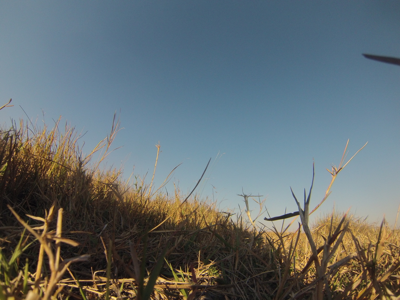 [25535] 2016_06_30_15_02_31_Africa_Hero3-Silver_Edition_IMG__01553.jpg