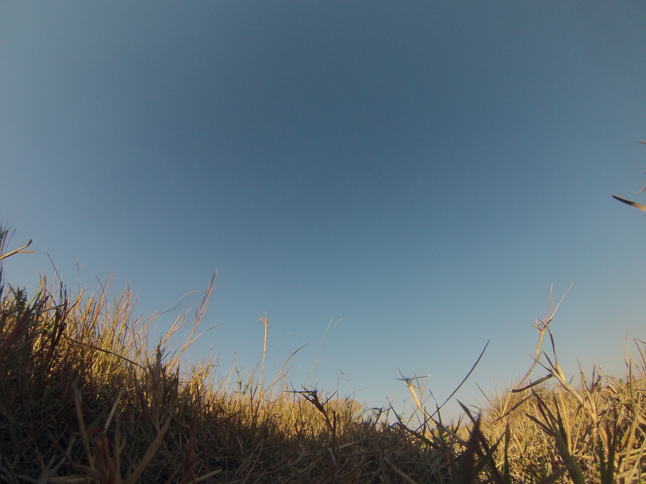 [25549] 2016_06_30_15_02_41_Africa_Hero3-Silver_Edition_IMG__00612.jpg