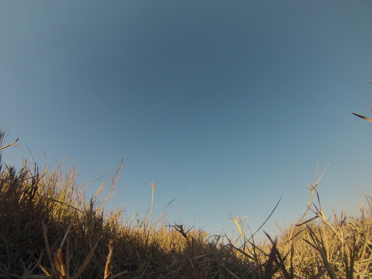 [25556] 2016_06_30_15_02_45_Africa_Hero3-Silver_Edition_IMG__01560.jpg