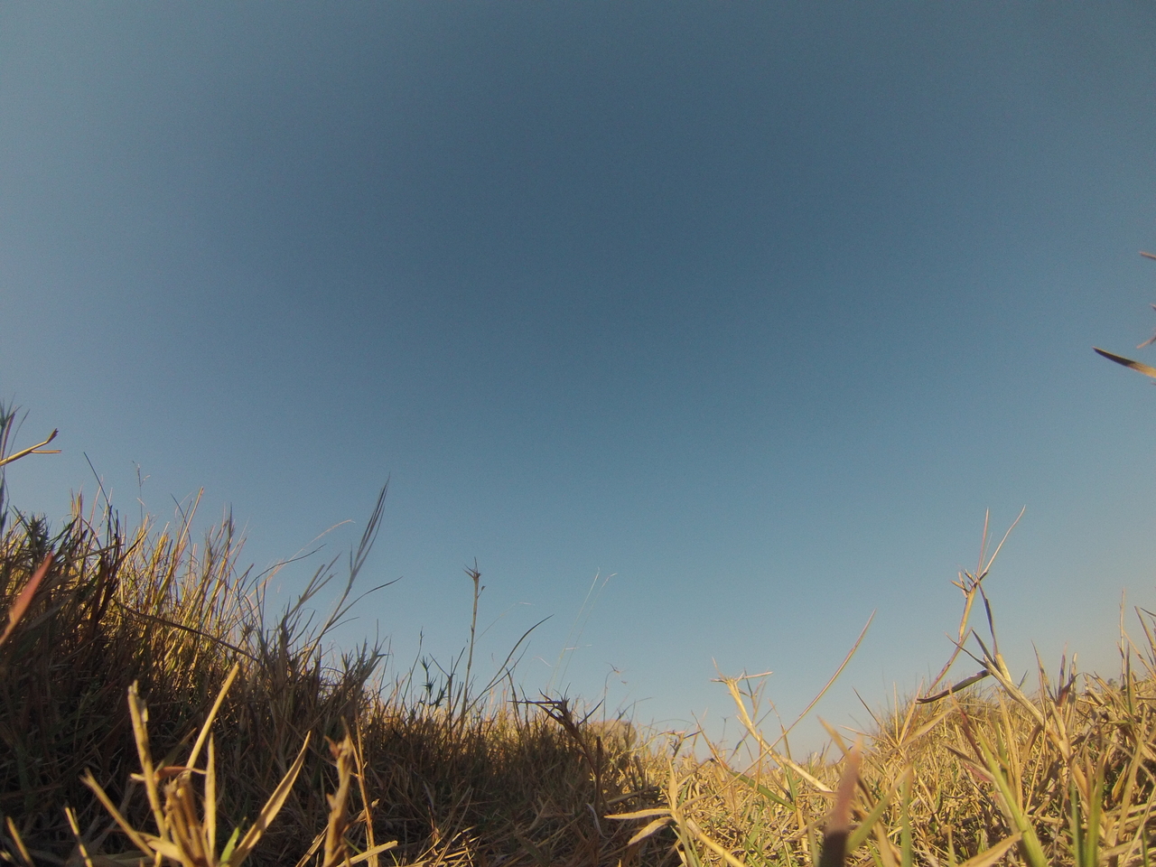 [25582] 2016_06_30_15_03_05_Africa_Hero3-Silver_Edition_IMG__00623.jpg