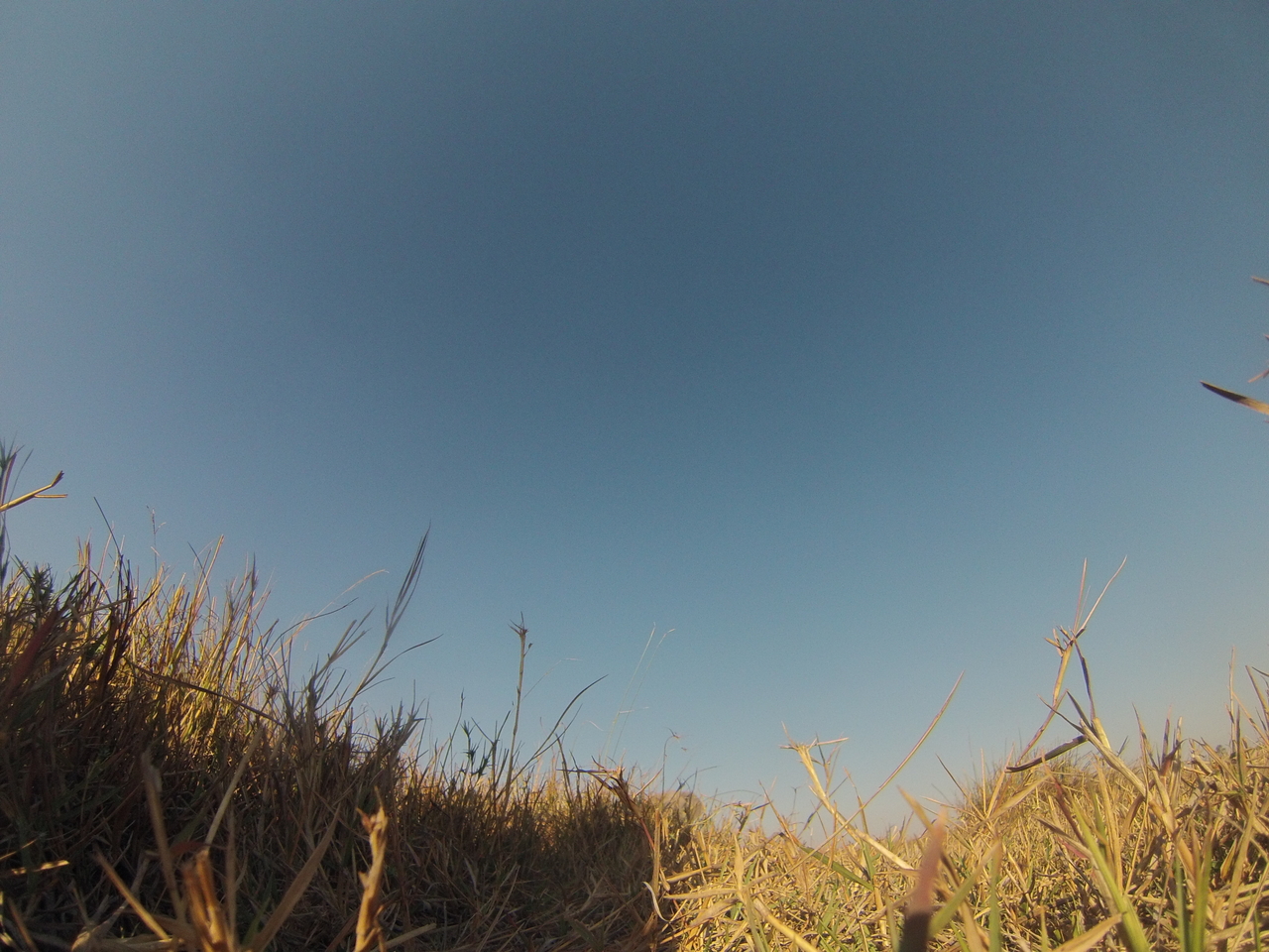 [25591] 2016_06_30_15_03_11_Africa_Hero3-Silver_Edition_IMG__00626.jpg