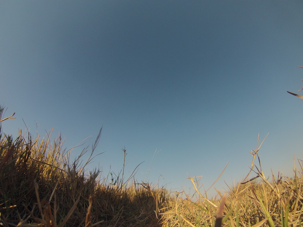 [25604] 2016_06_30_15_03_19_Africa_Hero3-Silver_Edition_IMG__01576.jpg