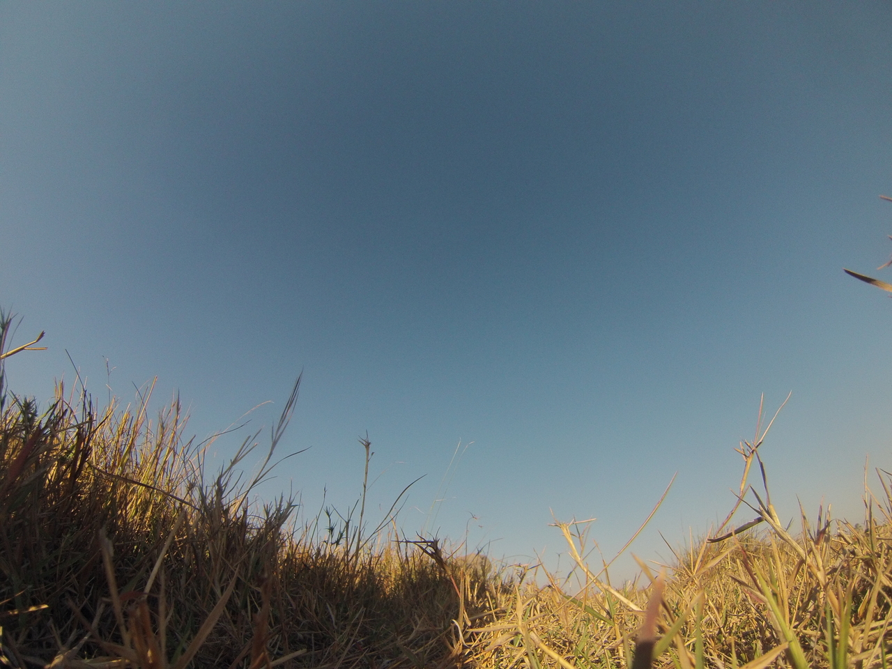 [25611] 2016_06_30_15_03_23_Africa_Hero3-Silver_Edition_IMG__02026.jpg