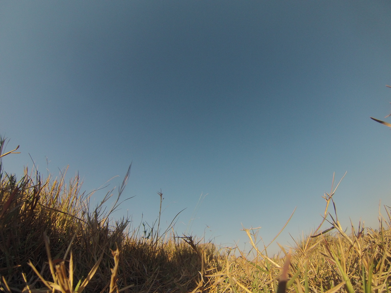 [25615] 2016_06_30_15_03_27_Africa_Hero3-Silver_Edition_IMG__00634.jpg