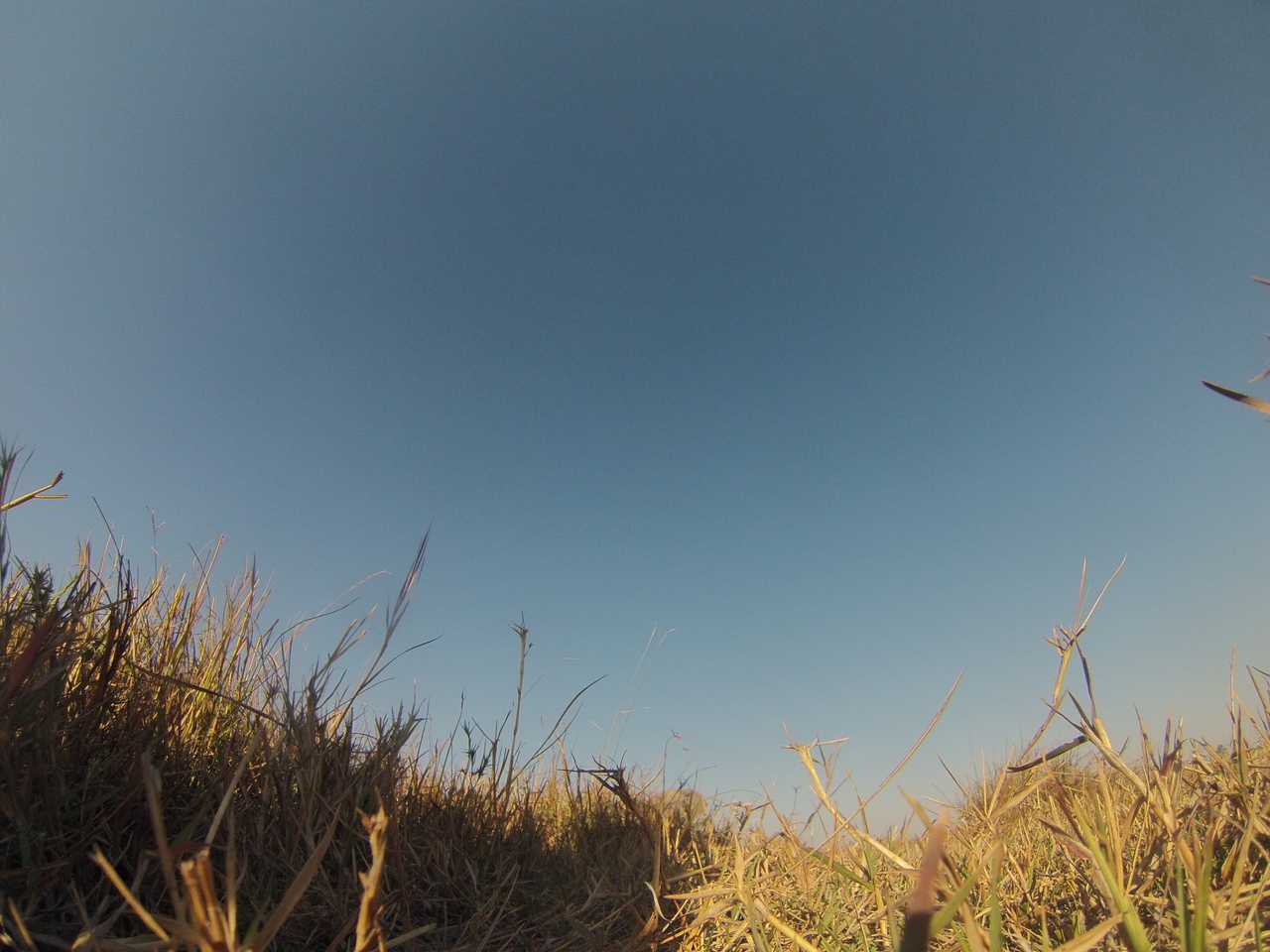 [25618] 2016_06_30_15_03_29_Africa_Hero3-Silver_Edition_IMG__00635.jpg