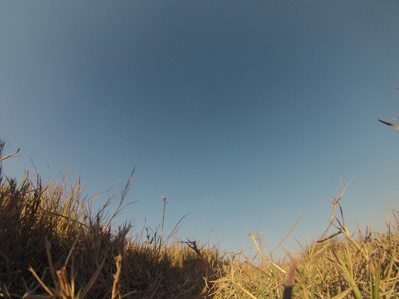 [25639] 2016_06_30_15_03_43_Africa_Hero3-Silver_Edition_IMG__00642.jpg