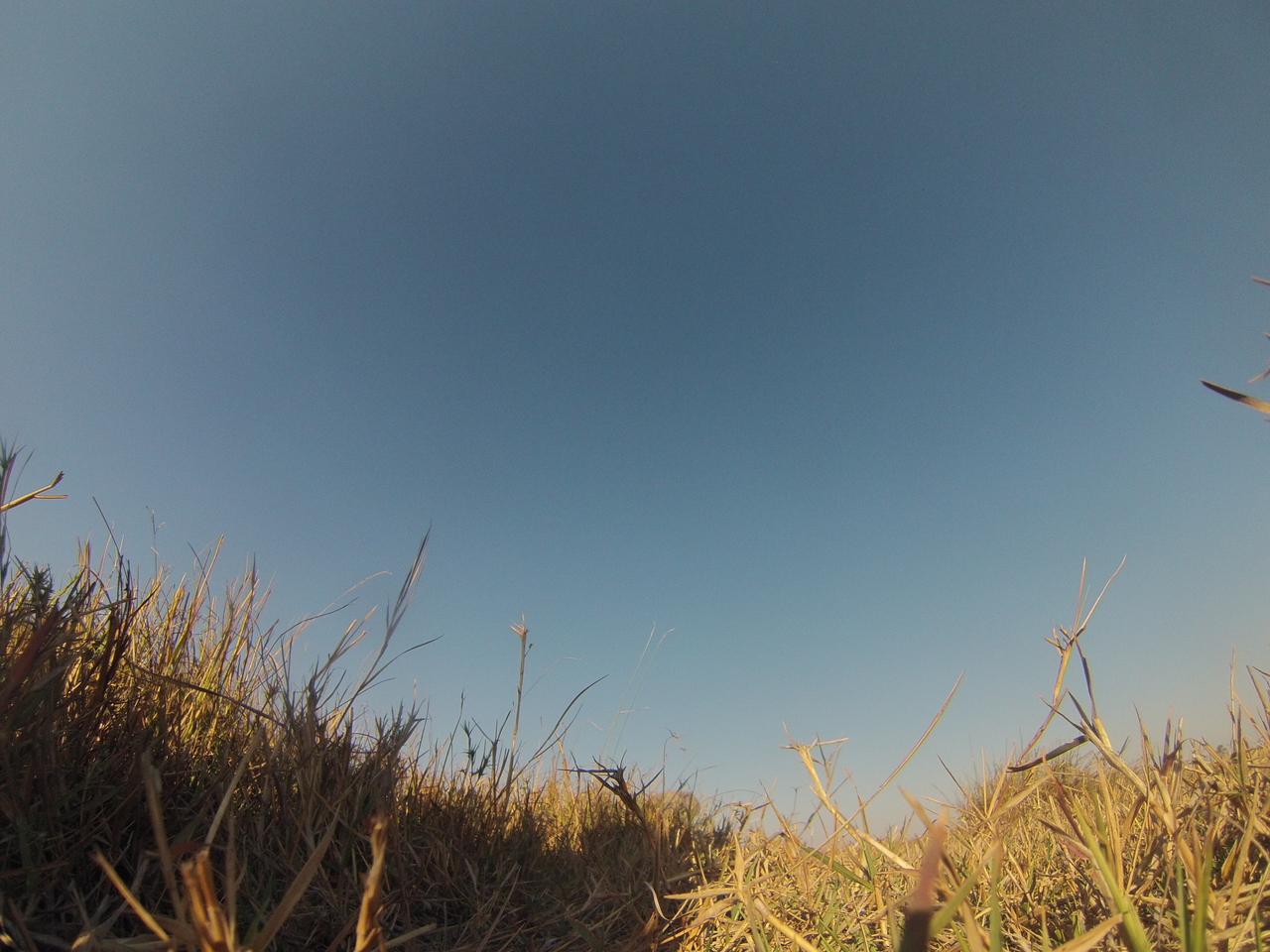 [25672] 2016_06_30_15_04_05_Africa_Hero3-Silver_Edition_IMG__00653.jpg