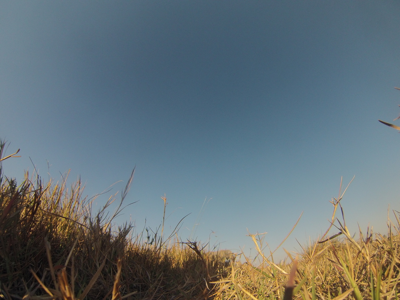 [25681] 2016_06_30_15_04_11_Africa_Hero3-Silver_Edition_IMG__00656.jpg