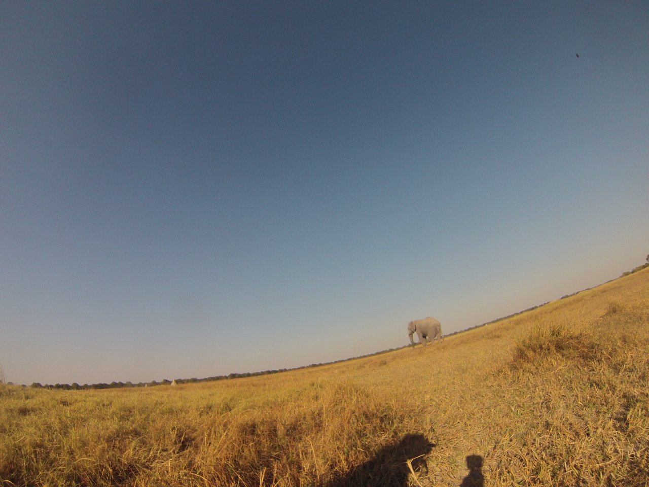 [25709] 2016_06_30_15_04_31_Africa_Hero3-Silver_Edition_IMG__01611.jpg