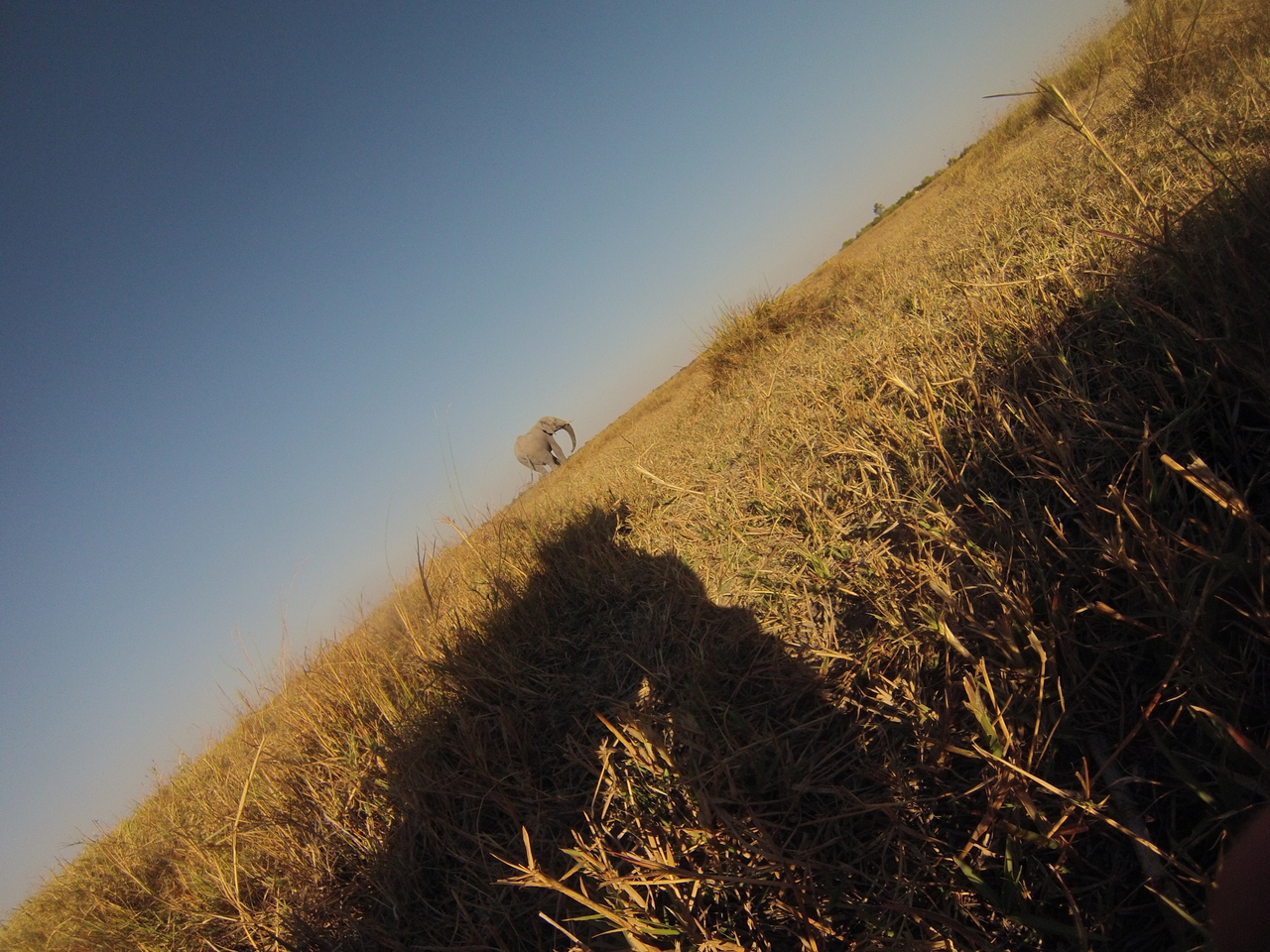 [25723] 2016_06_30_15_04_43_Africa_Hero3-Silver_Edition_IMG__00670.jpg