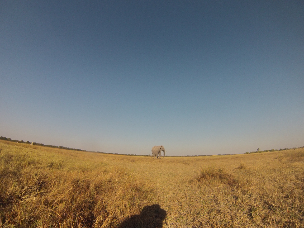 [25729] 2016_06_30_15_04_47_Africa_Hero3-Silver_Edition_IMG__00672.jpg