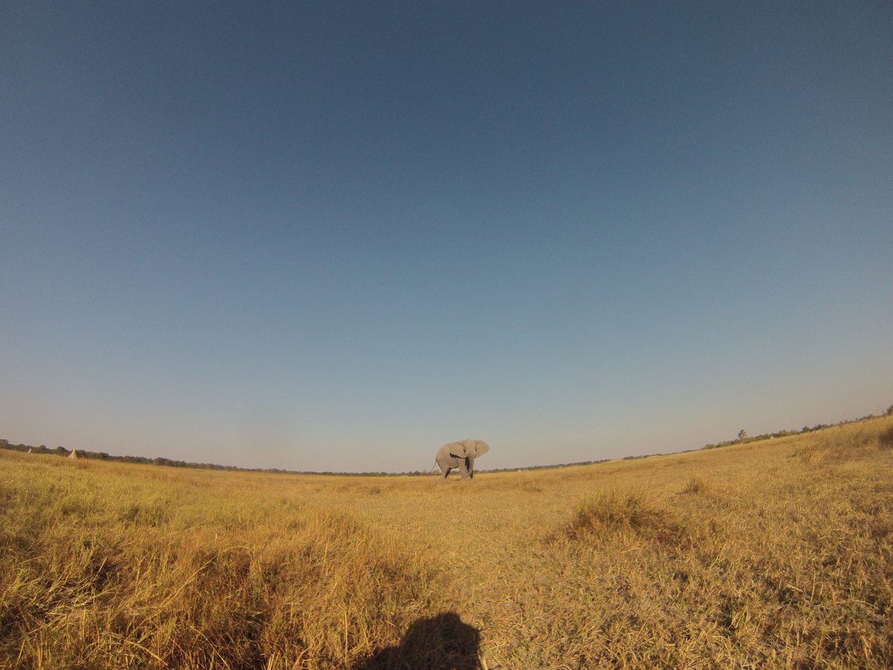 [25741] 2016_06_30_15_04_55_Africa_Hero3-Silver_Edition_IMG__00676.jpg