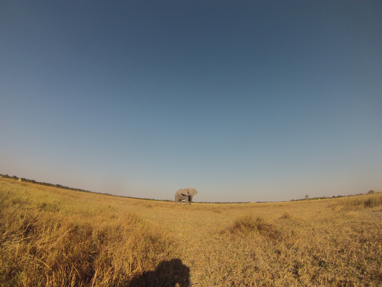 [25744] 2016_06_30_15_04_57_Africa_Hero3-Silver_Edition_IMG__00677.jpg