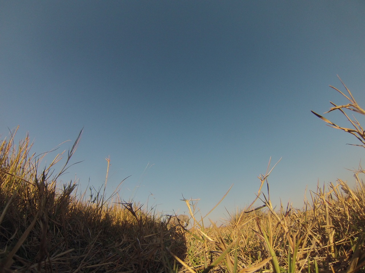 [25753] 2016_06_30_15_05_03_Africa_Hero3-Silver_Edition_IMG__00680.jpg