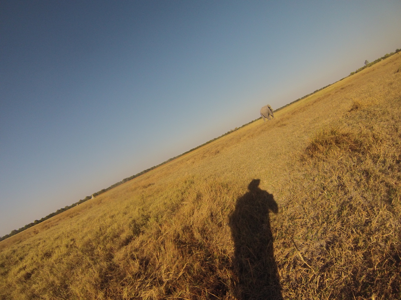 [25773] 2016_06_30_15_05_15_Africa_Hero3-Silver_Edition_IMG__02080.jpg