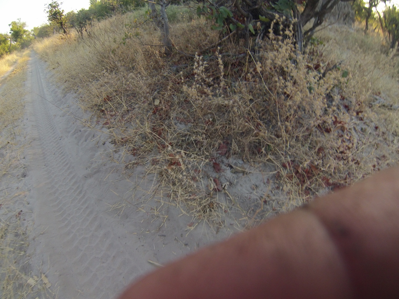 [25850] 2016_06_30_16_04_16_Africa_Hero3-Silver_Edition_IMG__00703.jpg