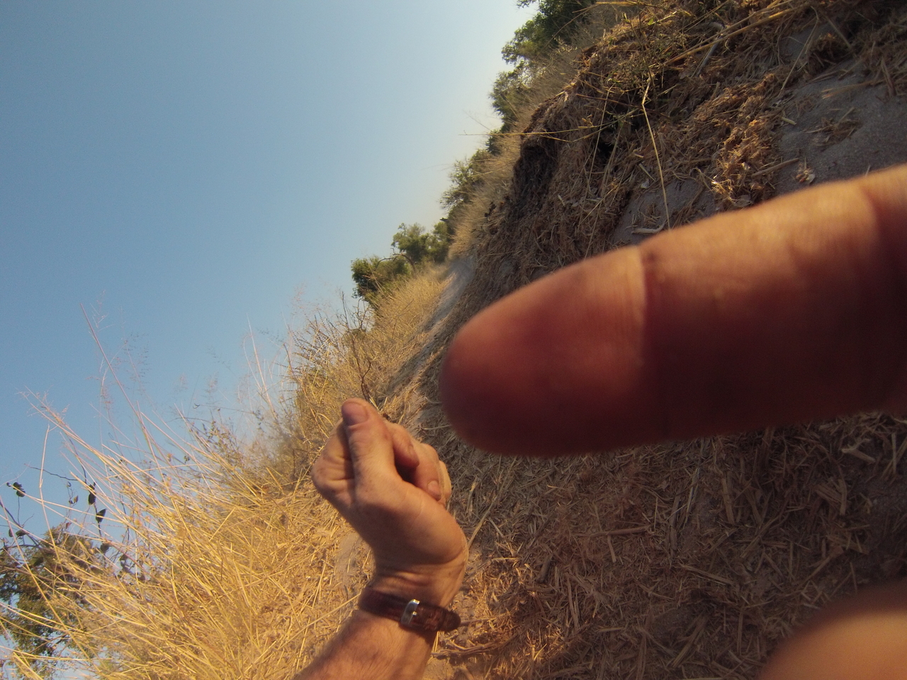 [25875] 2016_06_30_16_04_28_Africa_Hero3-Silver_Edition_IMG__01655.jpg