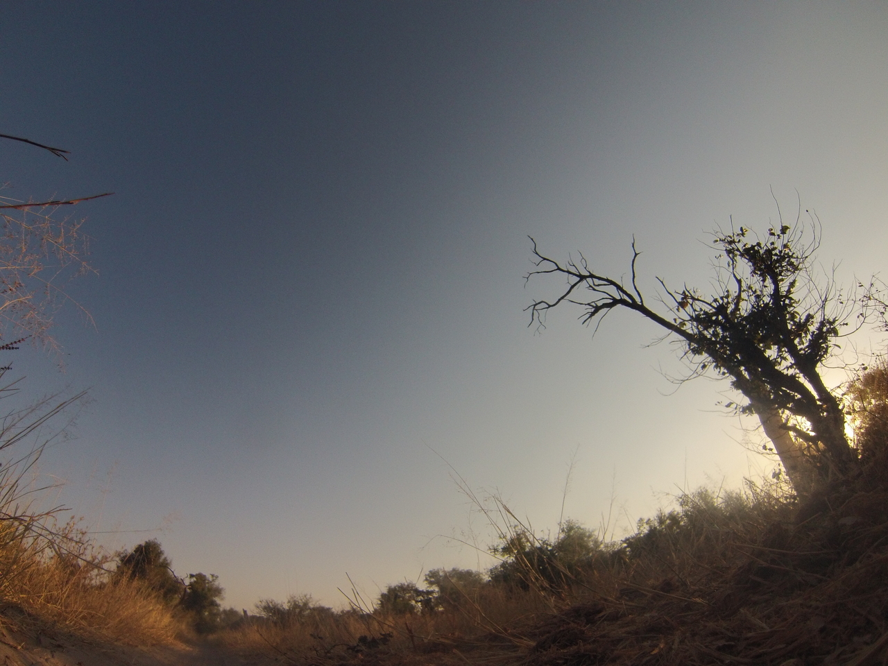 [25894] 2016_06_30_16_04_38_Africa_Hero3-Silver_Edition_IMG__02108.jpg