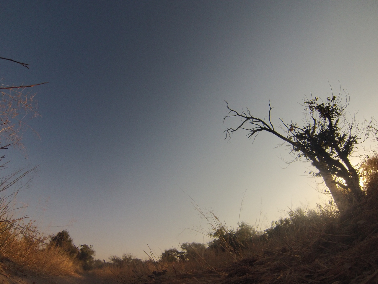 [25920] 2016_06_30_16_04_56_Africa_Hero3-Silver_Edition_IMG__01669.jpg