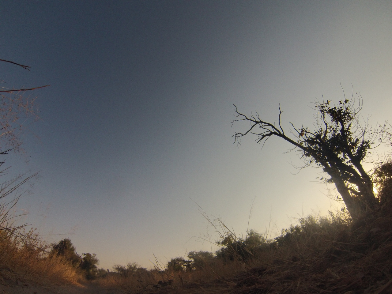 [26093] 2016_06_30_16_06_52_Africa_Hero3-Silver_Edition_IMG__00781.jpg