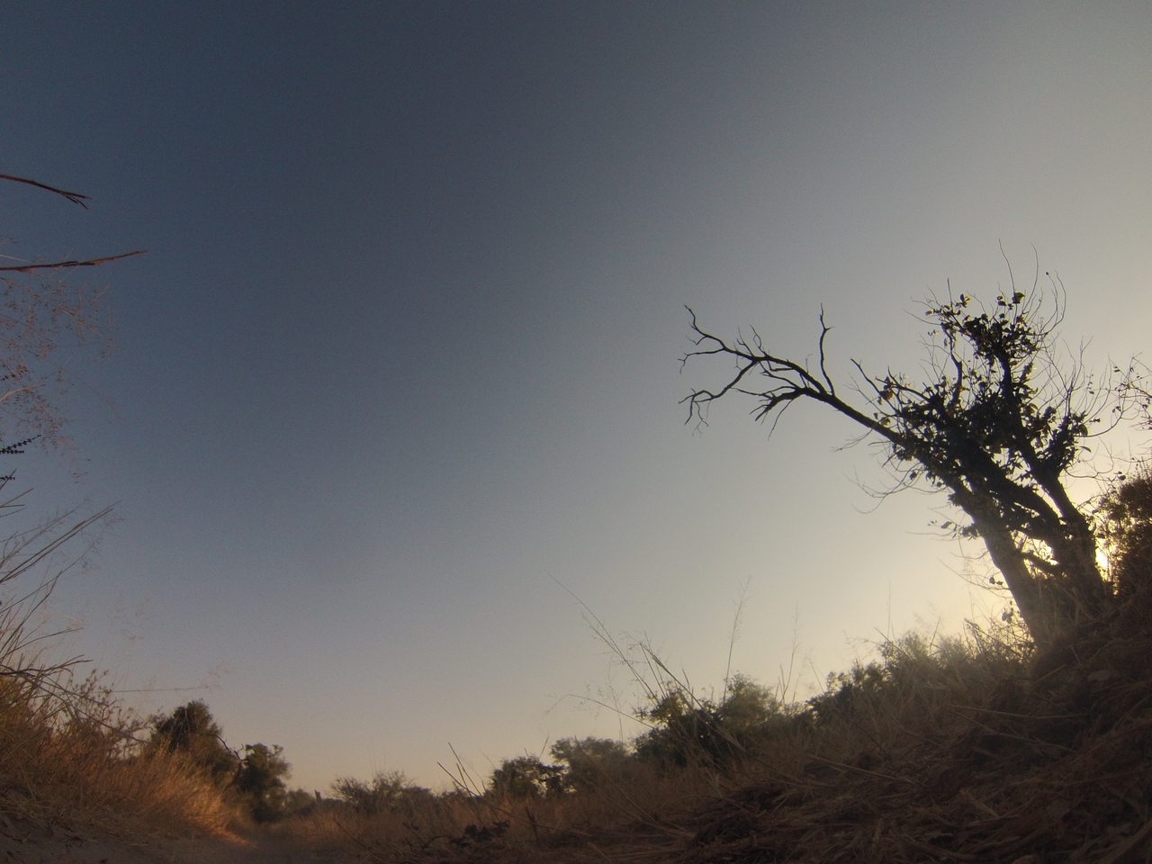 [26165] 2016_06_30_16_07_42_Africa_Hero3-Silver_Edition_IMG__00805.jpg