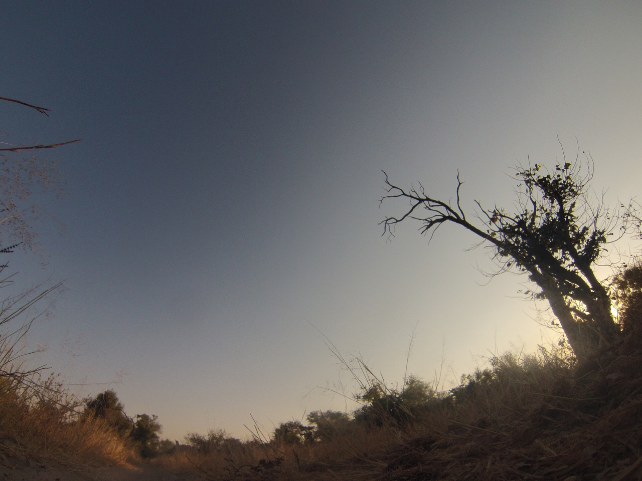 [26181] 2016_06_30_16_07_52_Africa_Hero3-Silver_Edition_IMG__01756.jpg