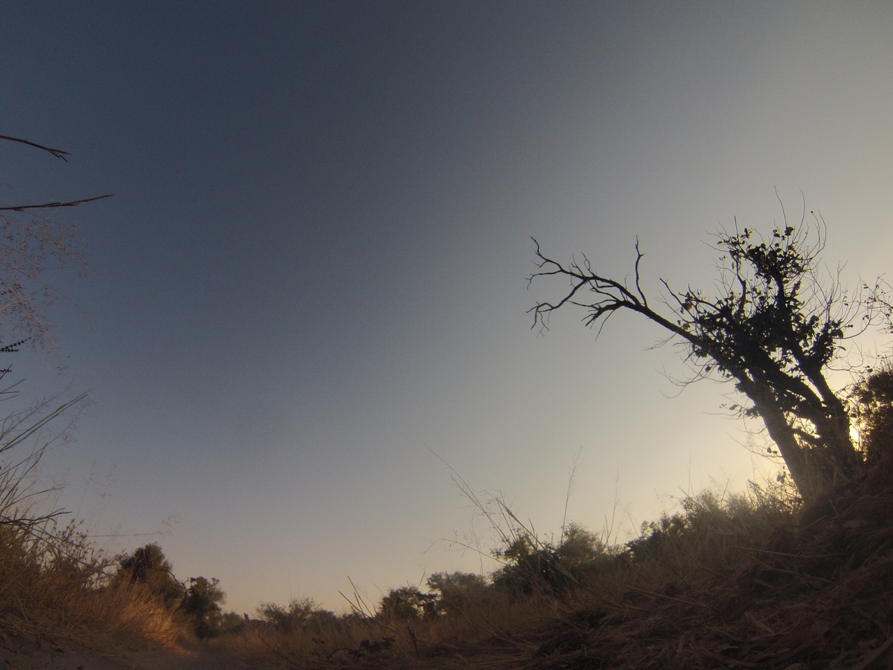 [26303] 2016_06_30_16_09_14_Africa_Hero3-Silver_Edition_IMG__00851.jpg