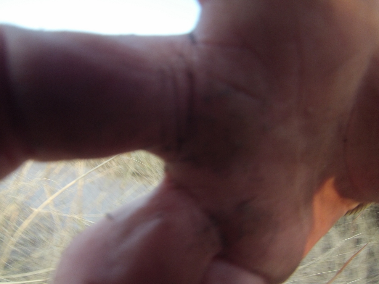 [26481] 2016_06_30_16_20_11_Africa_Hero3-Silver_Edition_IMG__01852.jpg