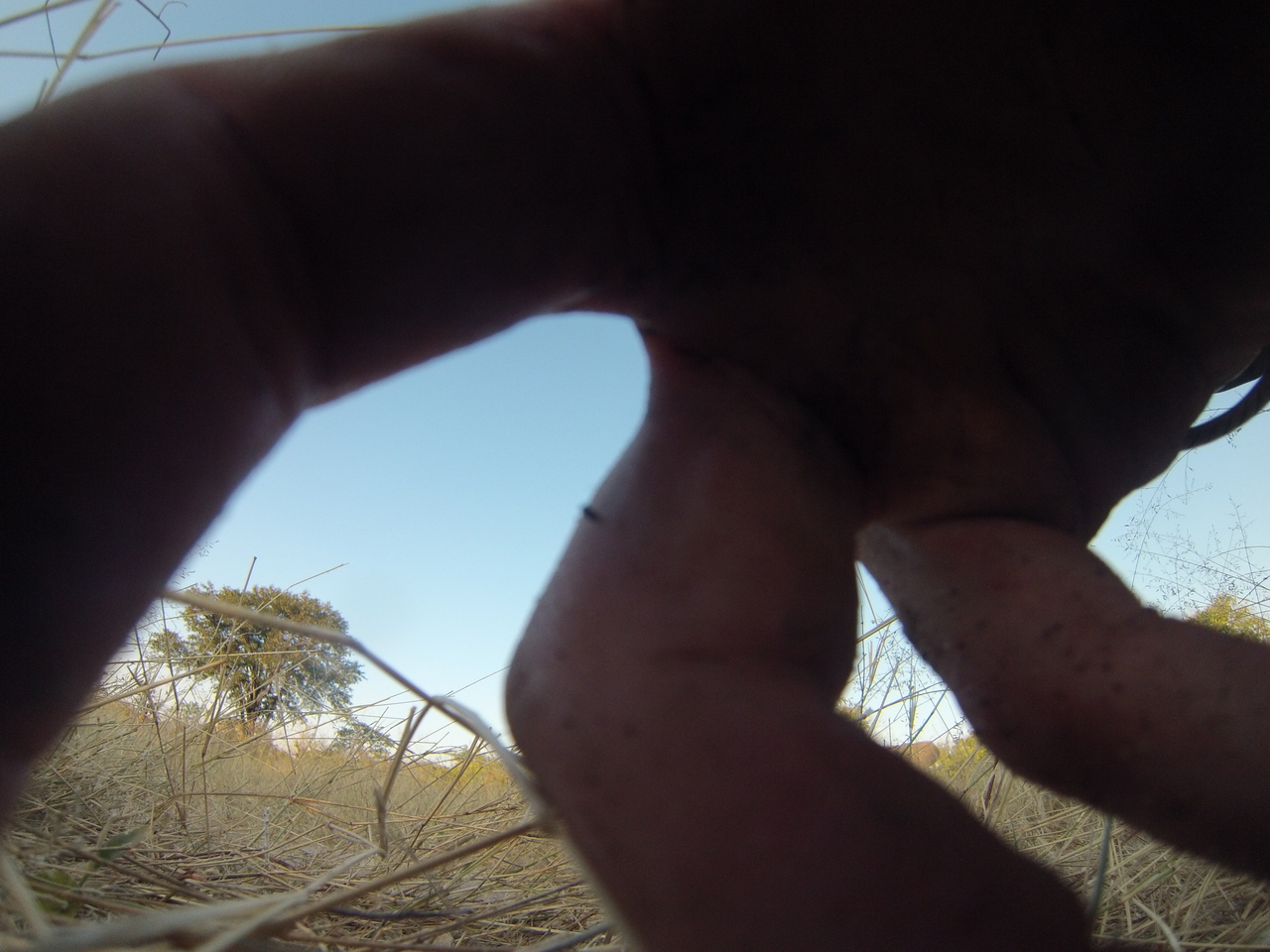 [26495] 2016_06_30_16_20_21_Africa_Hero3-Silver_Edition_IMG__00911.jpg