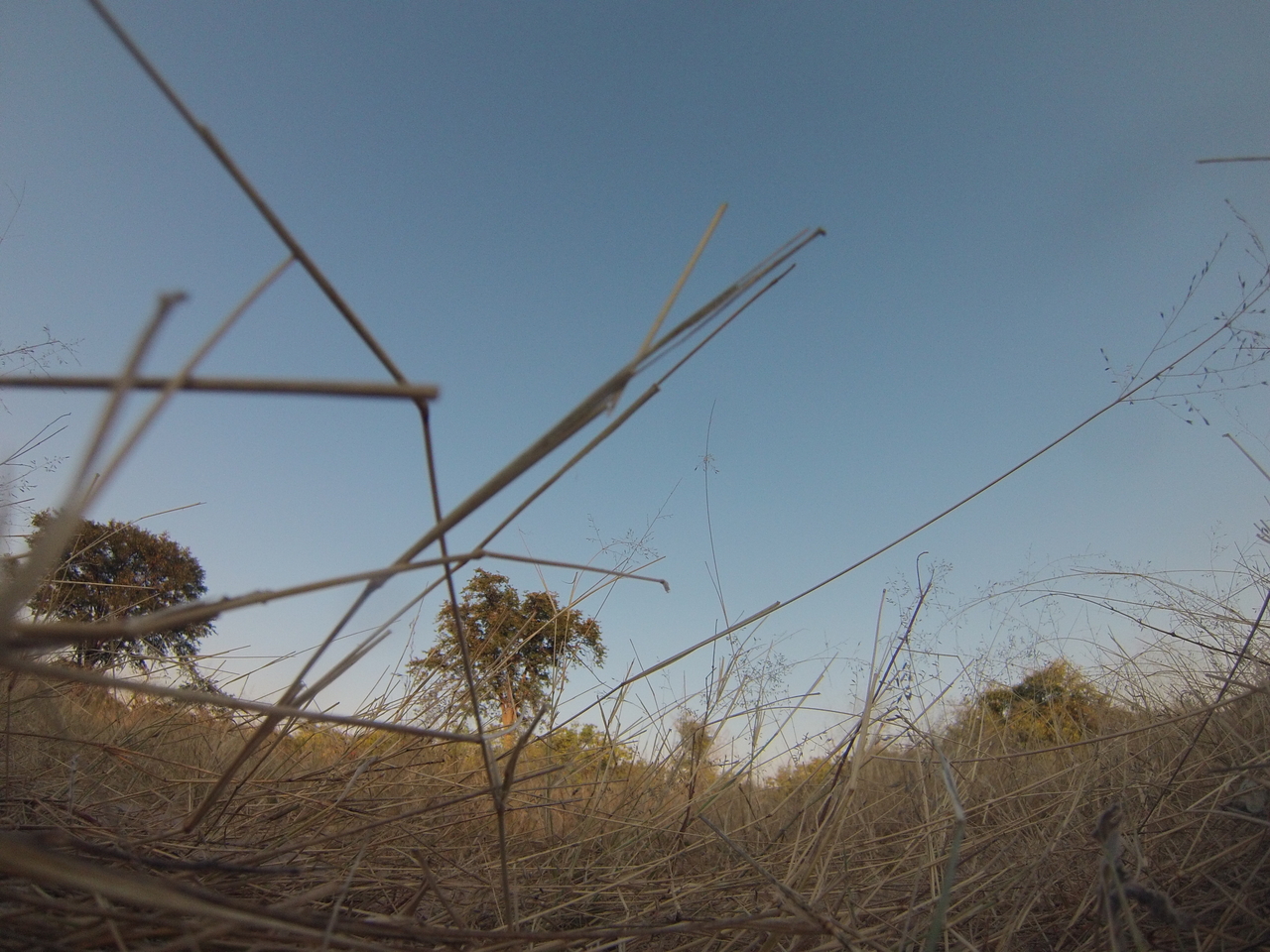 [26561] 2016_06_30_16_21_05_Africa_Hero3-Silver_Edition_IMG__00933.jpg