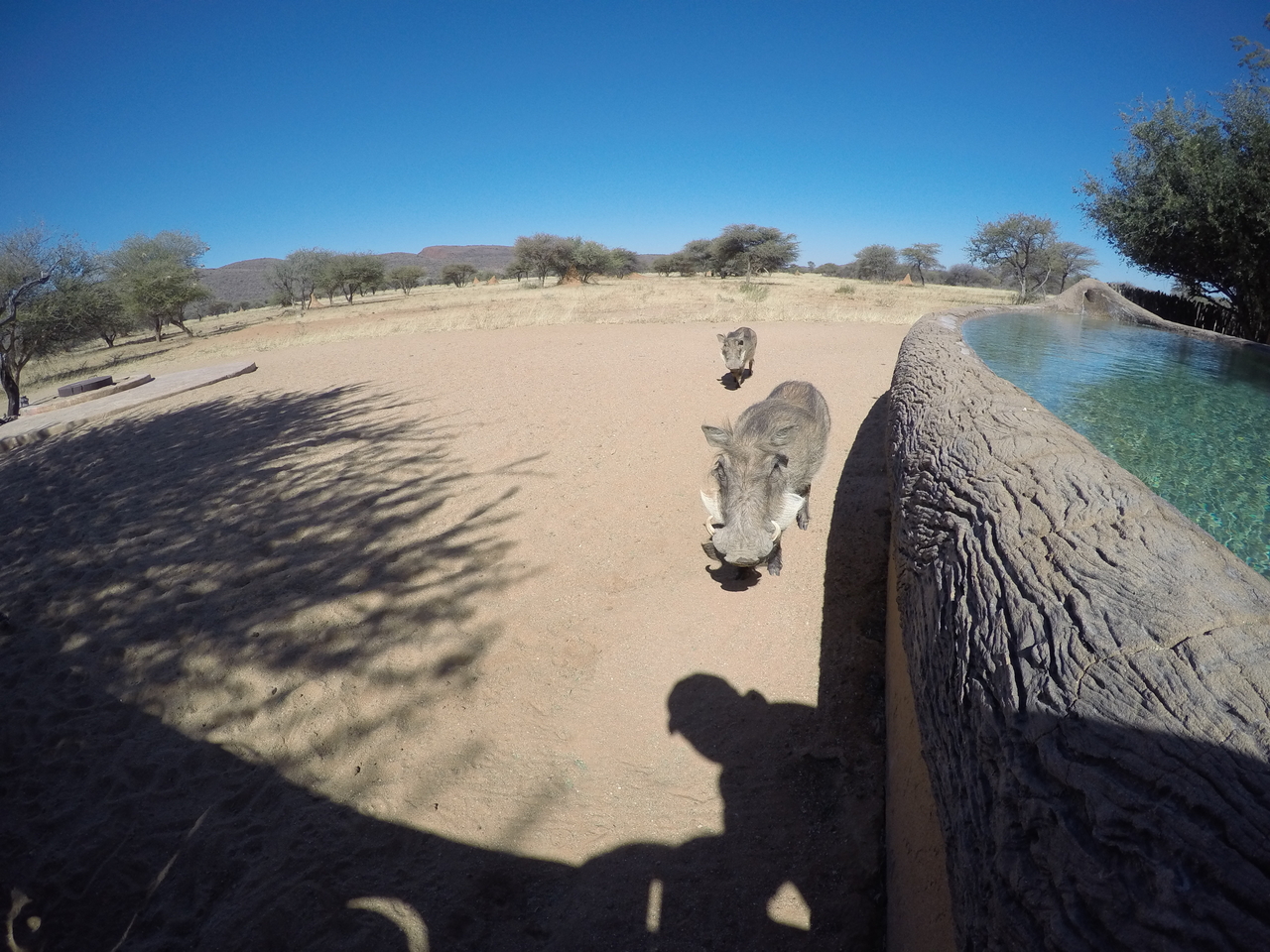 [2178] 2016_06_22_06_00_03_Africa_HERO4_Silver_IMG__00724.jpg