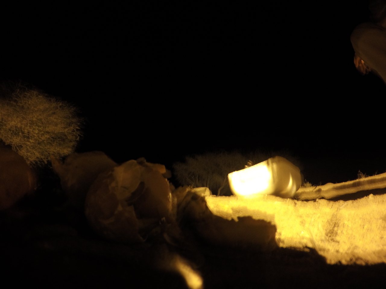 [10102] 2016_06_23_18_59_44_Africa_HERO4_Silver_IMG__00008.jpg