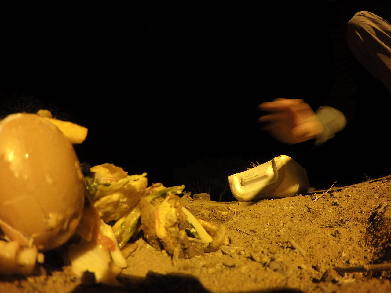 [10110] 2016_06_23_19_00_07_Africa_HERO4_Silver_IMG__00012.jpg