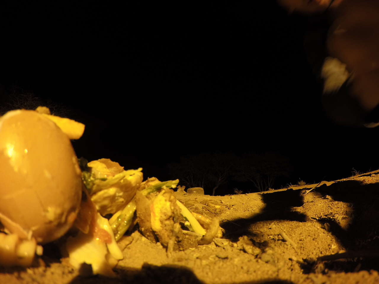 [10121] 2016_06_23_19_00_26_Africa_HERO4_Silver_IMG__03871.jpg