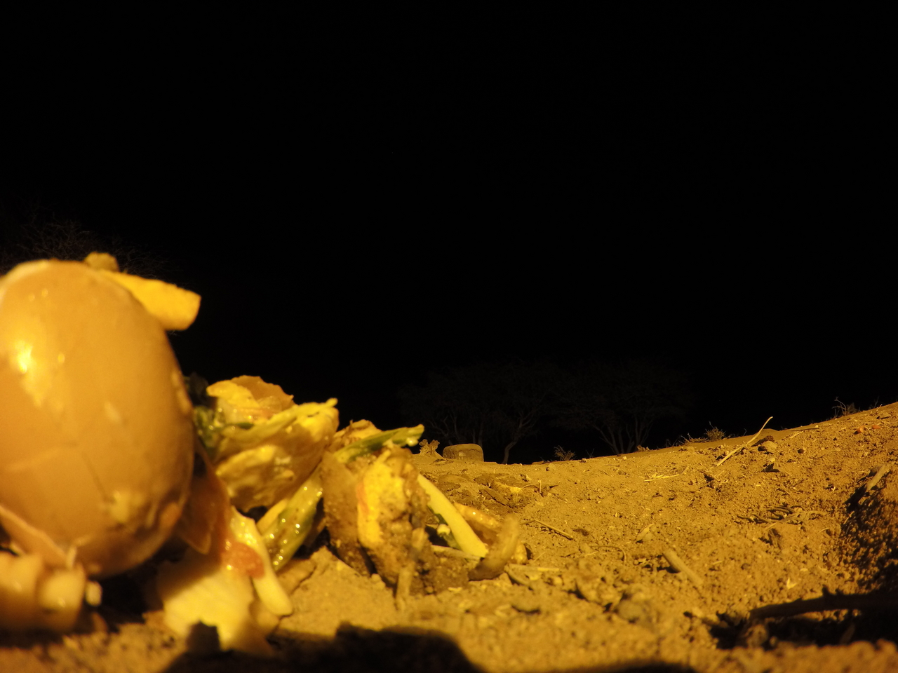 [10156] 2016_06_23_19_00_56_Africa_HERO4_Silver_IMG__00022.jpg