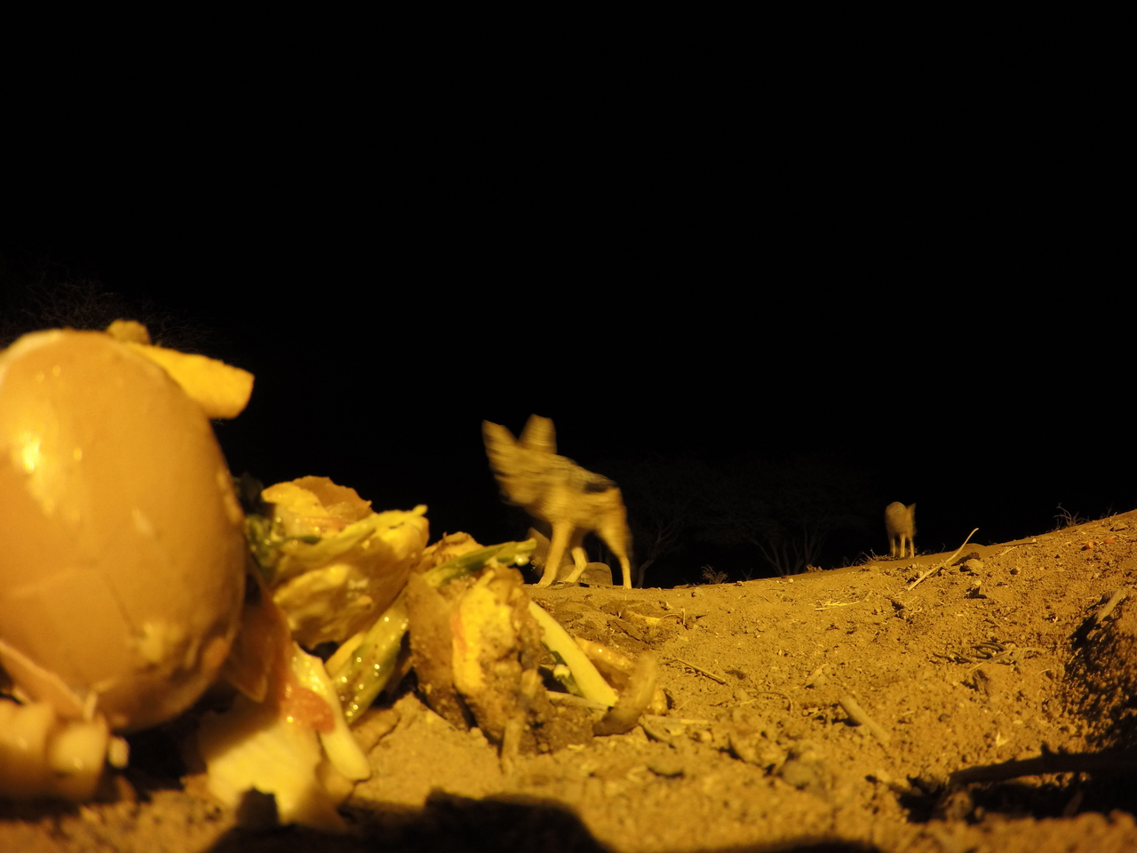 [10165] 2016_06_23_19_01_01_Africa_HERO4_Silver_IMG__03878.jpg