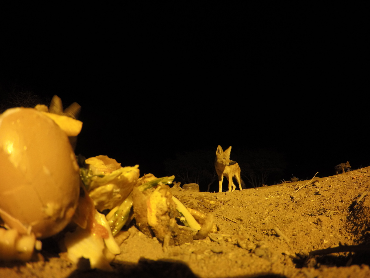 [10177] 2016_06_23_19_01_11_Africa_HERO4_Silver_IMG__03880.jpg