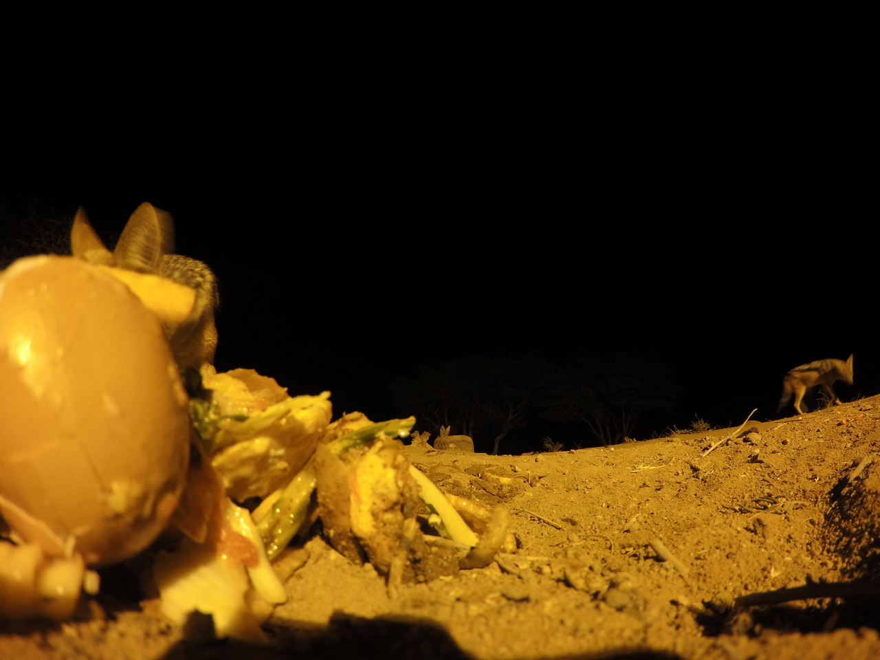 [10189] 2016_06_23_19_01_21_Africa_HERO4_Silver_IMG__03882.jpg