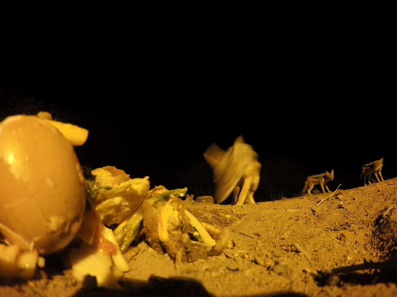 [10202] 2016_06_23_19_01_32_Africa_HERO4_Silver_IMG__03884.jpg