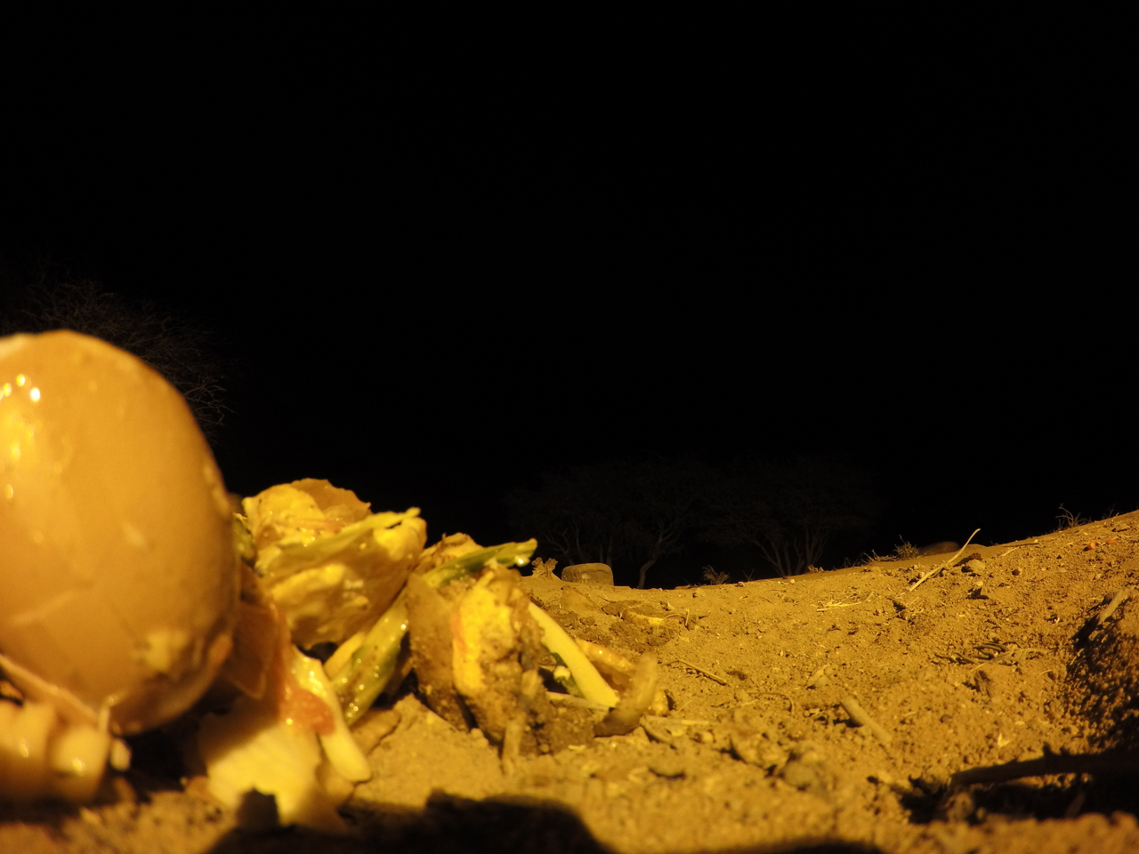 [10241] 2016_06_23_19_02_06_Africa_HERO4_Silver_IMG__03891.jpg